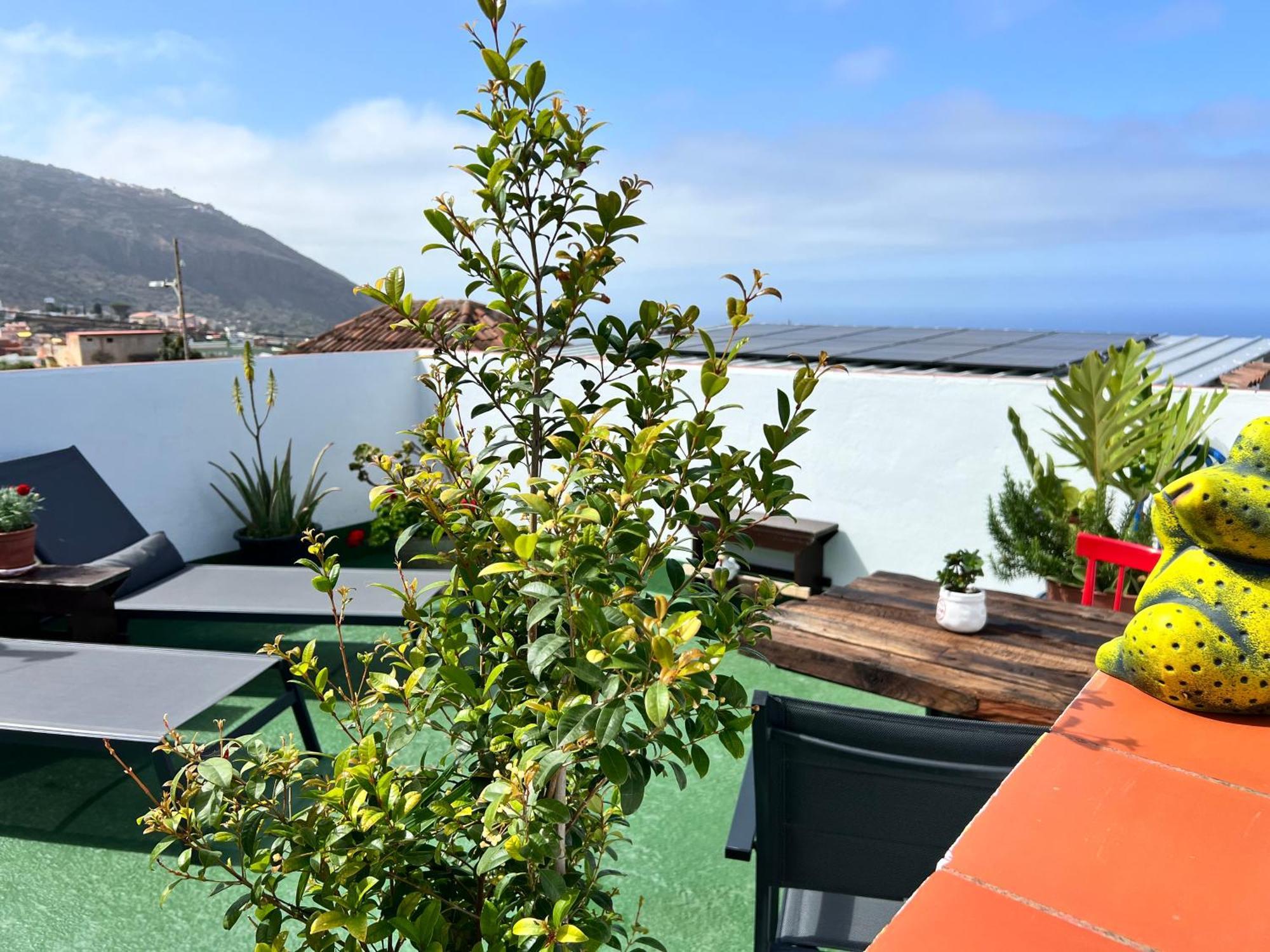 The Little Brezo Stone Home Tenerife Los Realejos Exterior foto